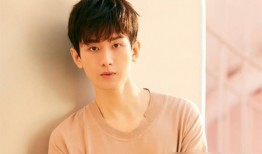 最新爆料成毅,神秘女友身份引热议，恋情细节揭秘