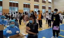 西善堂村爆料最新消息,揭秘事件背后惊人真相